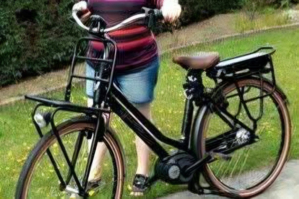 Gazelle Miss grace 2018, Vélos & Vélomoteurs, Vélos électriques, Utilisé, Gazelle, Enlèvement
