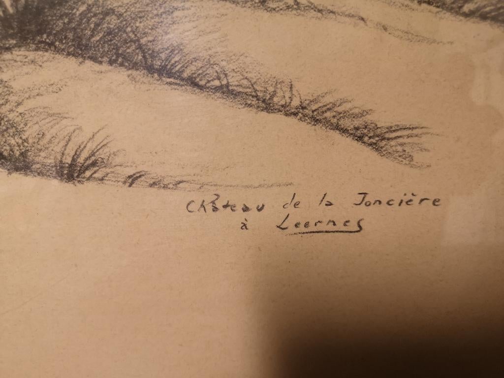 Fusain Ben Genaux Château de la Jonquiere Leernes, Enlèvement