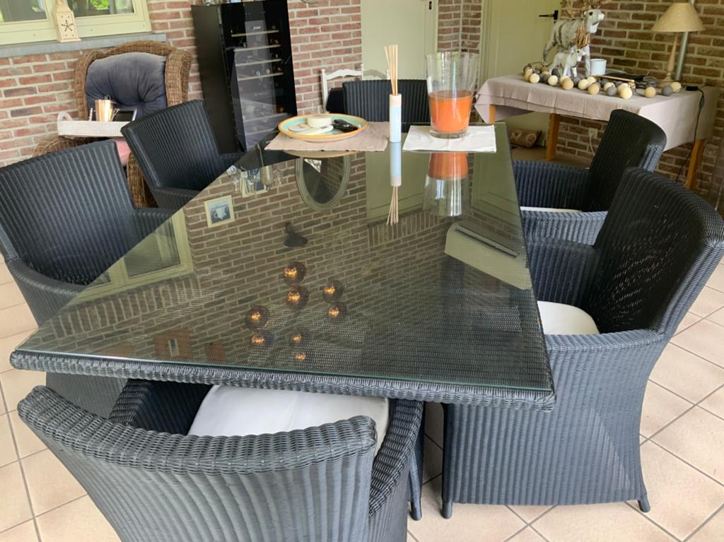 Borek rotan eettafel(glazenblad) en 6 stoelen(met kussens), Ophalen, Gebruikt, Eettafel, Rotan
