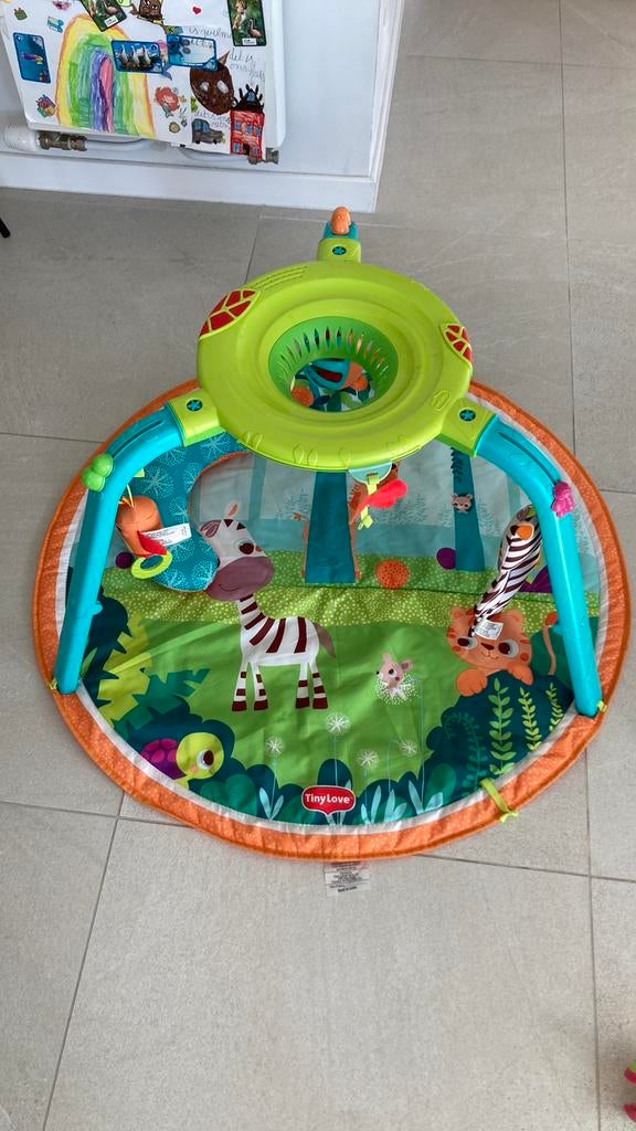Speelmat Tiny Love Gymini 123 Here I Grow, Kinderen en Baby's, Speelgoed | Speelkleden, Gebruikt, Ophalen