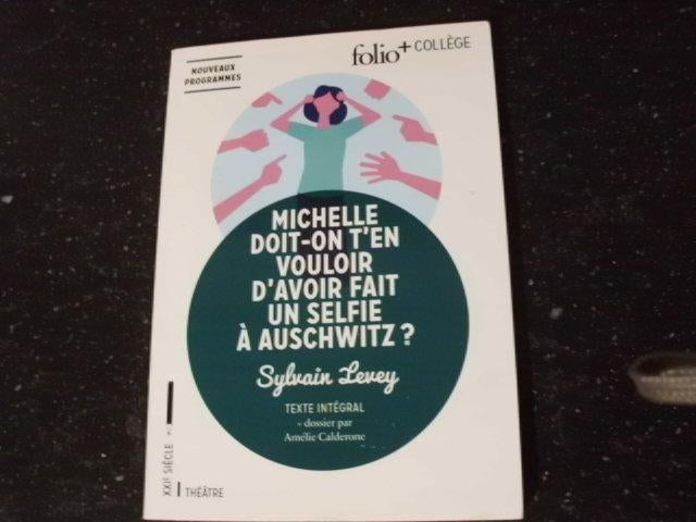 Michelle doit-on t'en vouloir d'avoir fait un selfie à Ausch, Enlèvement ou Envoi, Comme neuf, Sylvain levey