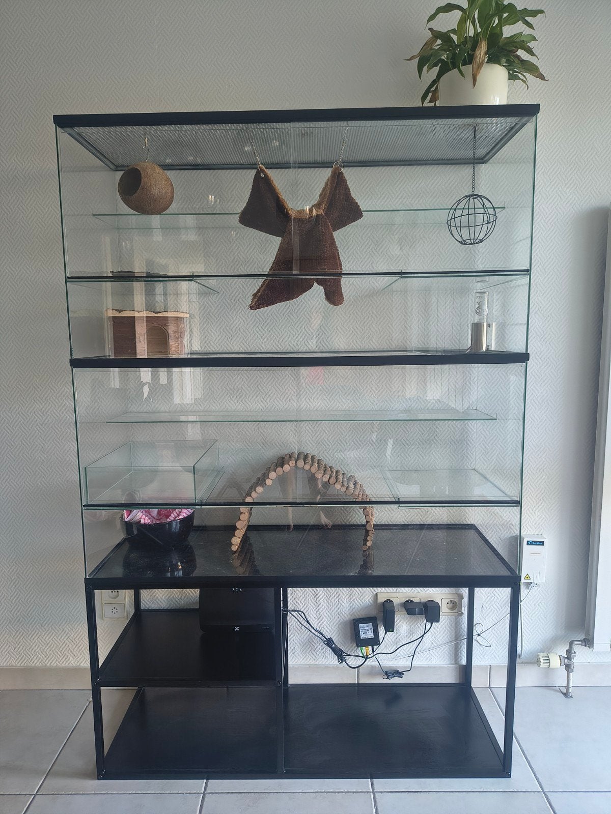 Glazen terrarium met op maat gemaakte onderkast, goede verlu, Ophalen, 110 cm of meer, Overige typen, Zo goed als nieuw
