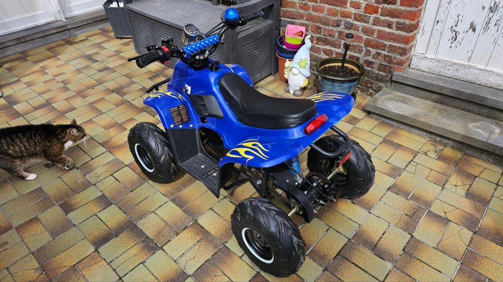 Quad électrique enfant, Vélos & Vélomoteurs, Mini Bikes, Midi Bikes & Pit Bikes, Enlèvement