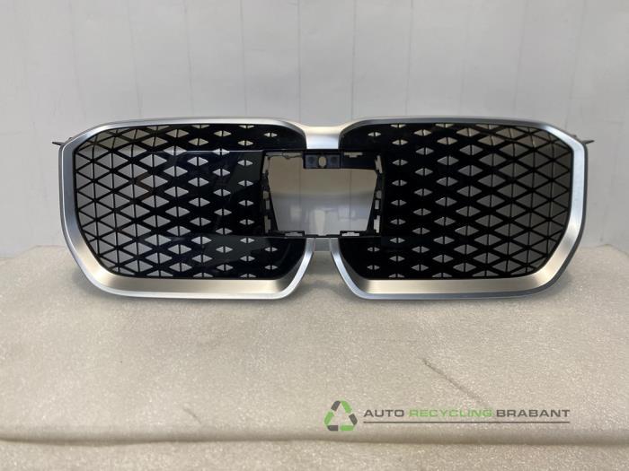 Grille van een BMW X1, Gebruikt, -, -, Ophalen of Verzenden