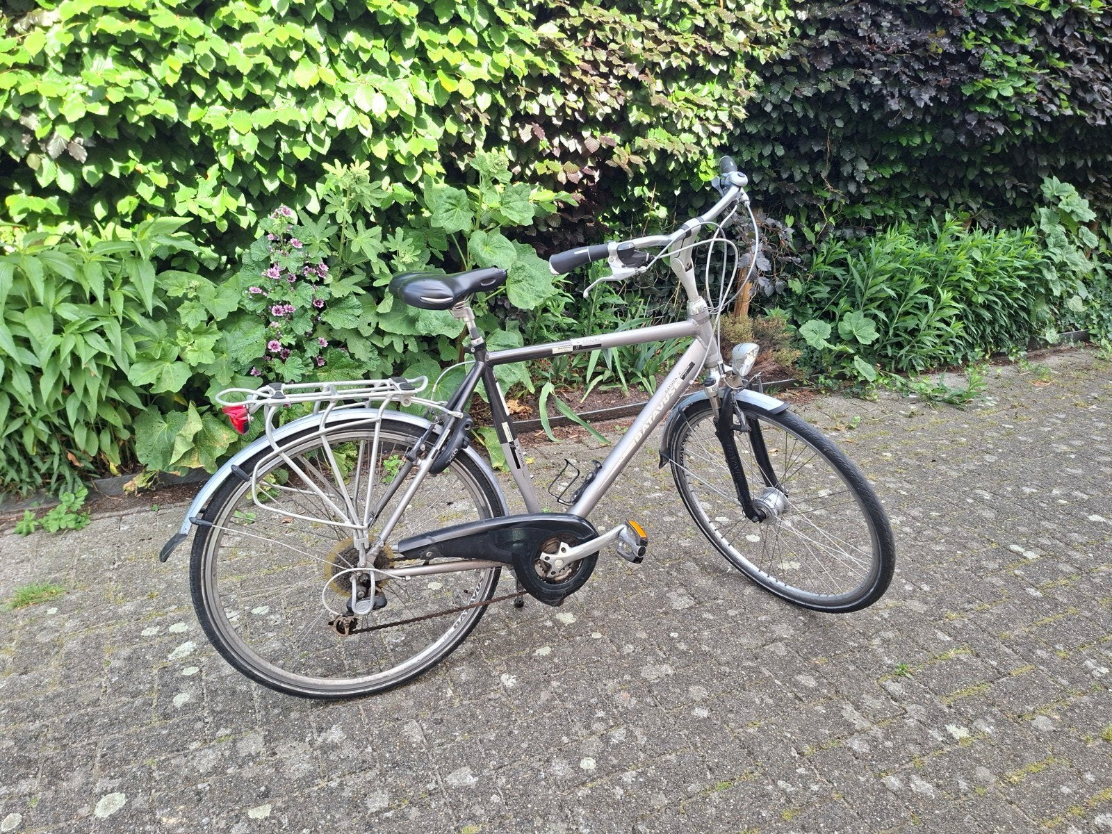 Batavus herenfiets Cayuca, Enlèvement, Batavus, Vitesses