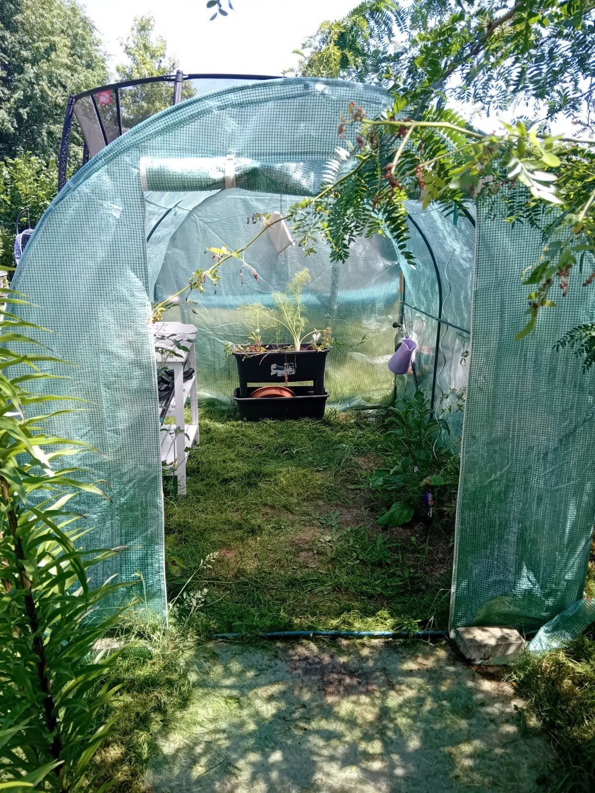 Serre nog geen jaar oud, Tuin en Terras, Ophalen