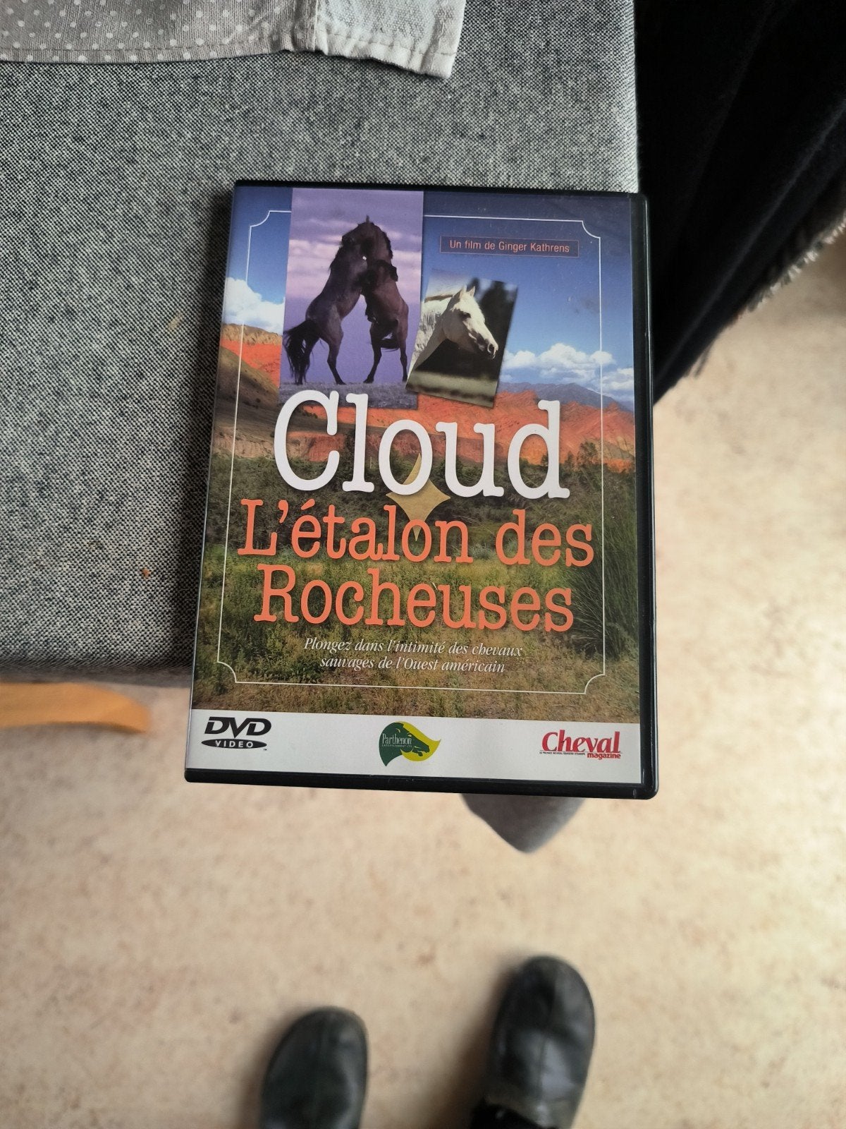 DVD L'étalon des Rocheuses Cloud, CD & DVD, Enlèvement ou Envoi, Tous les âges, Français, Comme neuf
