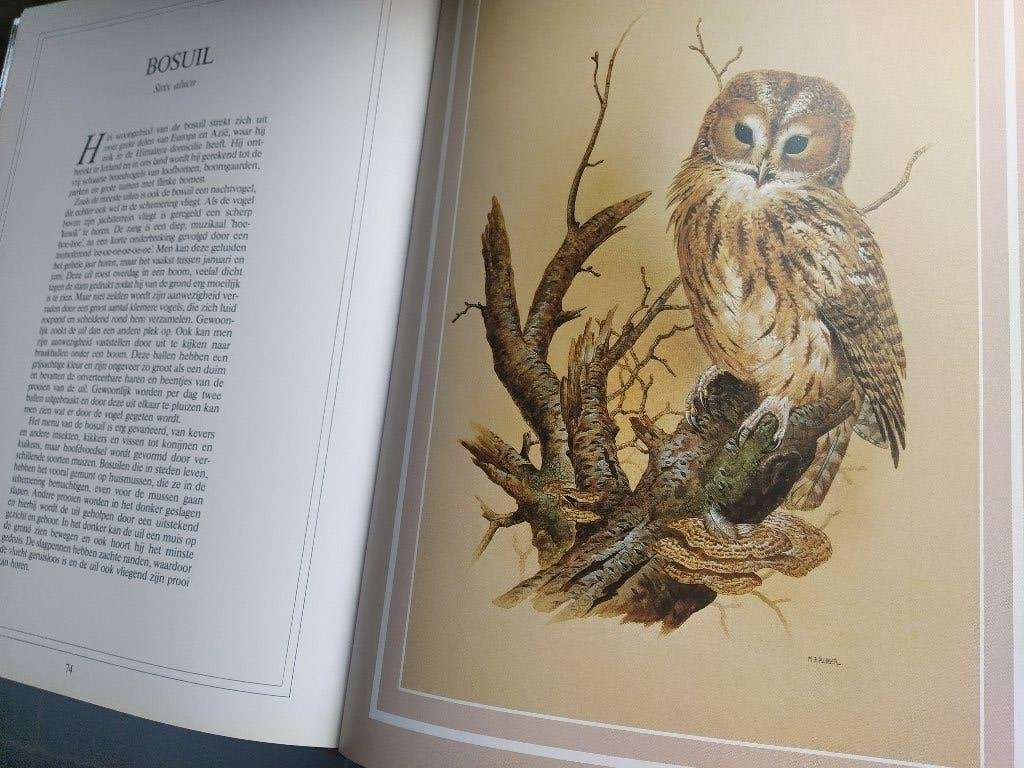 boek:  vogelpracht in 24 artistieke afbeeldingen, Boeken, Ophalen of Verzenden, Gelezen, Vogels