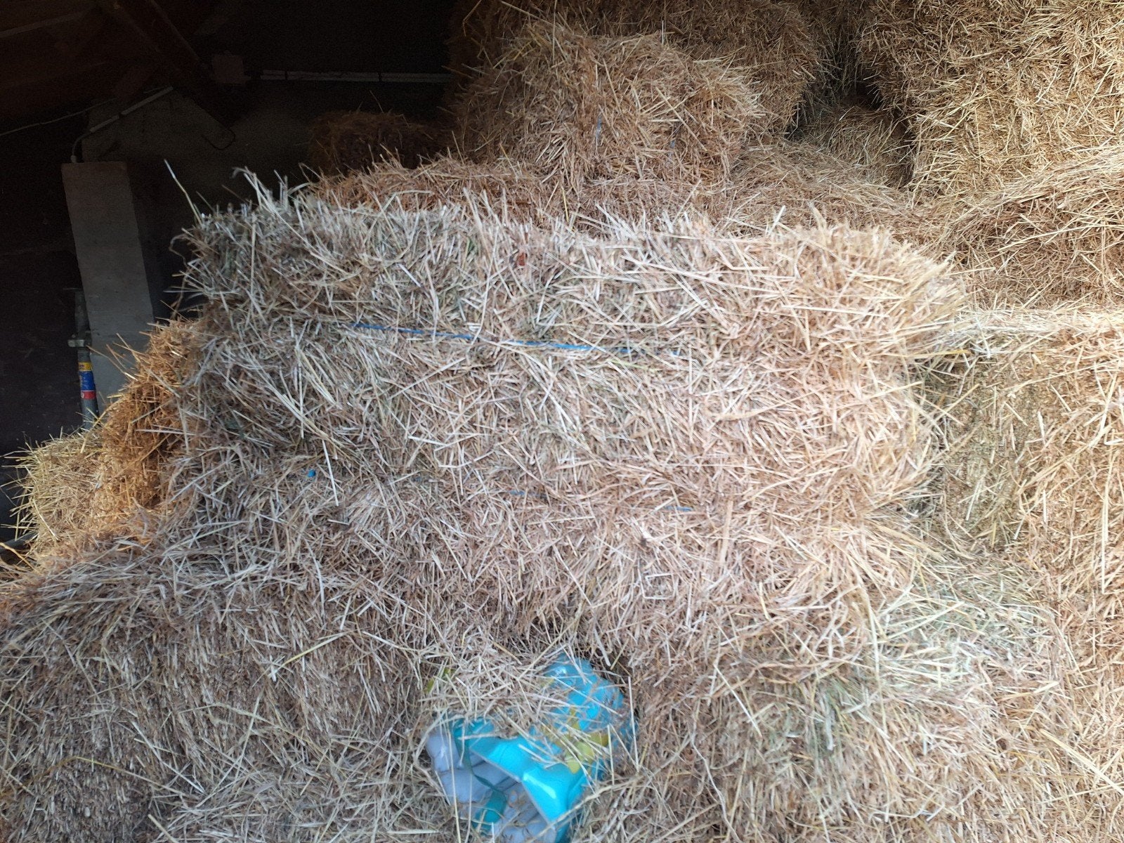 kleine botten hooi, Dieren en Toebehoren, Ophalen