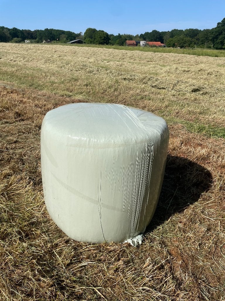 Midi balen voordroog, Zakelijke goederen, Landbouw | Veevoer, Ophalen