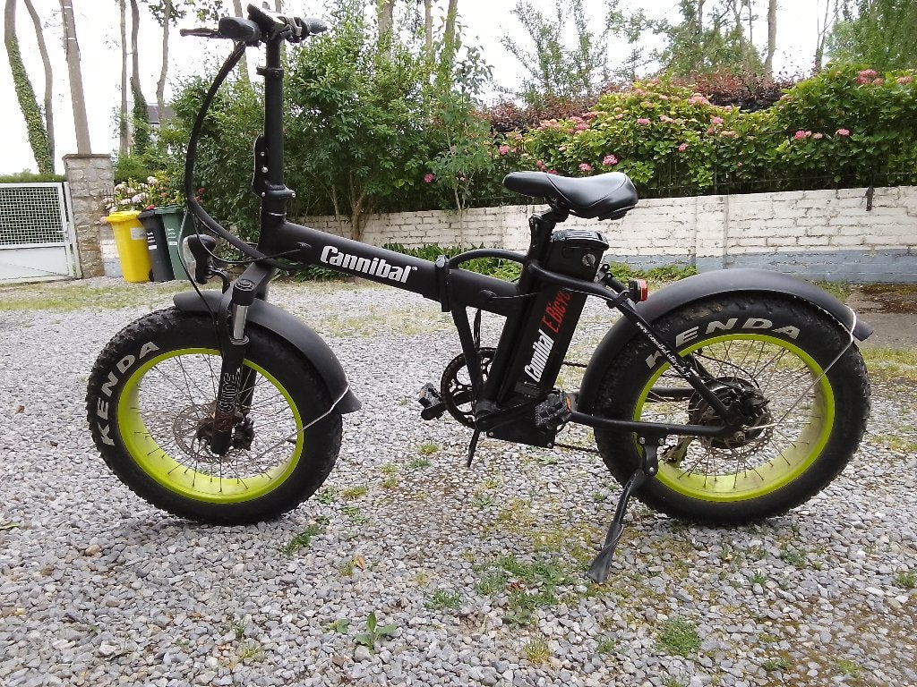 20 inch opvouwbare kannibaalfiets elektrische fiets, 49 tot 53 cm, Zo goed als nieuw, Schijfrem, Ophalen