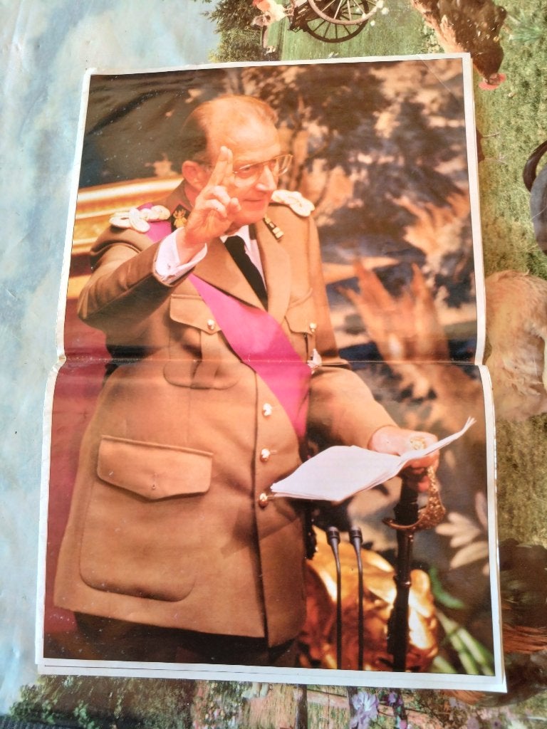 foto`s Koning Albert II, Verzamelen, Koningshuis en Royalty, Ophalen of Verzenden, Gebruikt, Kaart, Foto of Prent