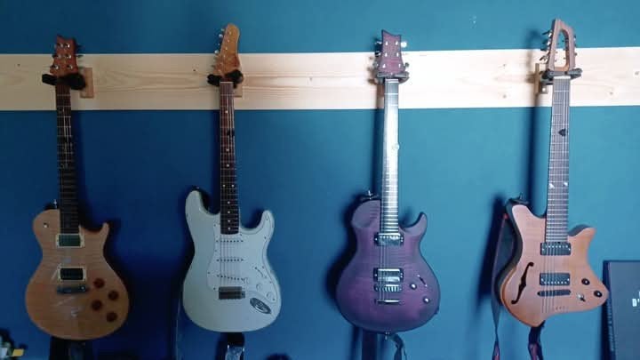 PRS SC250, HAAR, VIGIER, GIRAULD, Muziek en Instrumenten, Snaarinstrumenten | Gitaren | Elektrisch, Ophalen of Verzenden