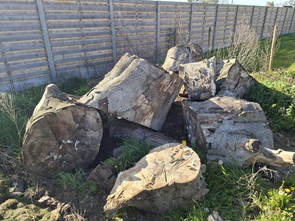 Brandhout  groote bloken, Tuin en Terras, Brandhout, Ophalen