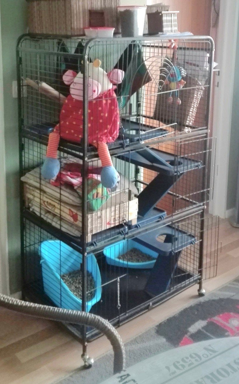 Grande cage pour furet ou cobaye, Animaux & Accessoires, 90 cm ou plus, Cobaye, 75 à 110 cm, Cage