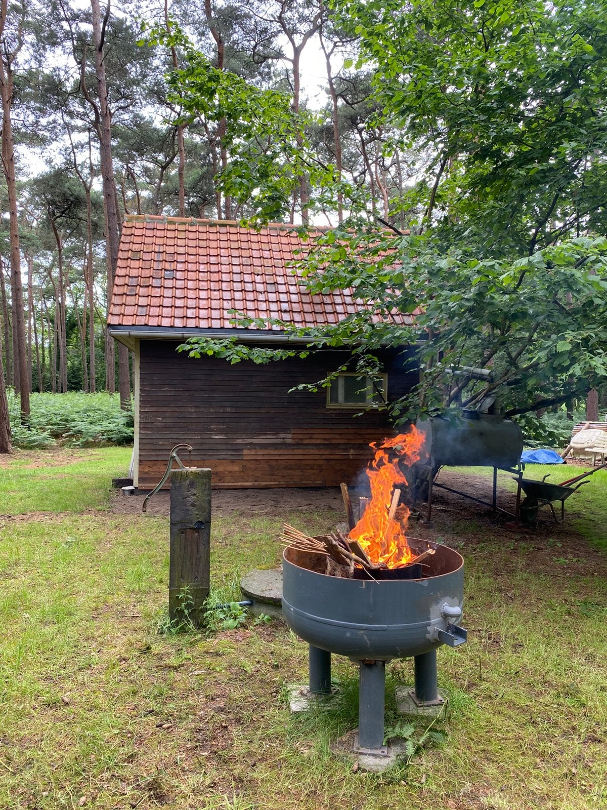Bos / vakantie woning / recreatie grond, Tuin, In bos, Landelijk