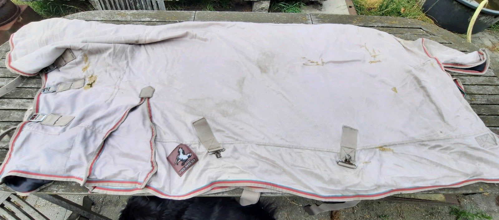 Vliegendeken premiere 140 a 145cm, Animaux & Accessoires, Chevaux & Poneys | Couvertures & Couvre-reins, Utilisé, Couverture anti-mouches