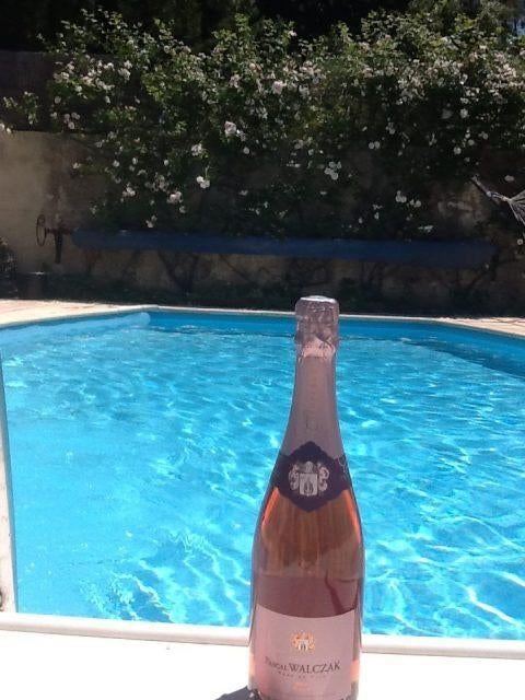 Te huur, 9p, zwembad, rust natuur zon Z.Frankrijk te huur, 4 of meer slaapkamers, In bergen of heuvels, Landelijk, Languedoc-Roussillon