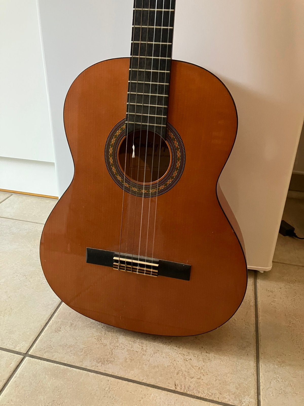 Gitaar - gitaarzak - boek, Ophalen, Gebruikt