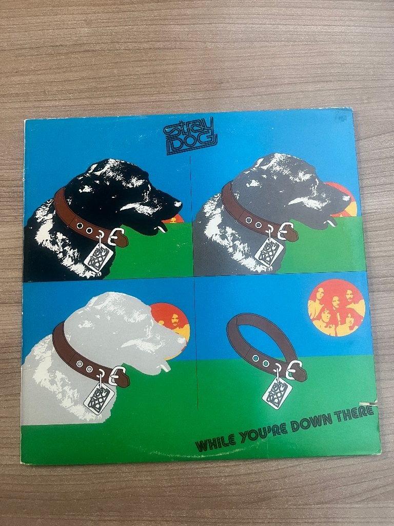 STRAY DOG - WHILE YOU'RE DOWN THERE (1974), LP, Enlèvement ou Envoi, Utilisé, Rock classique