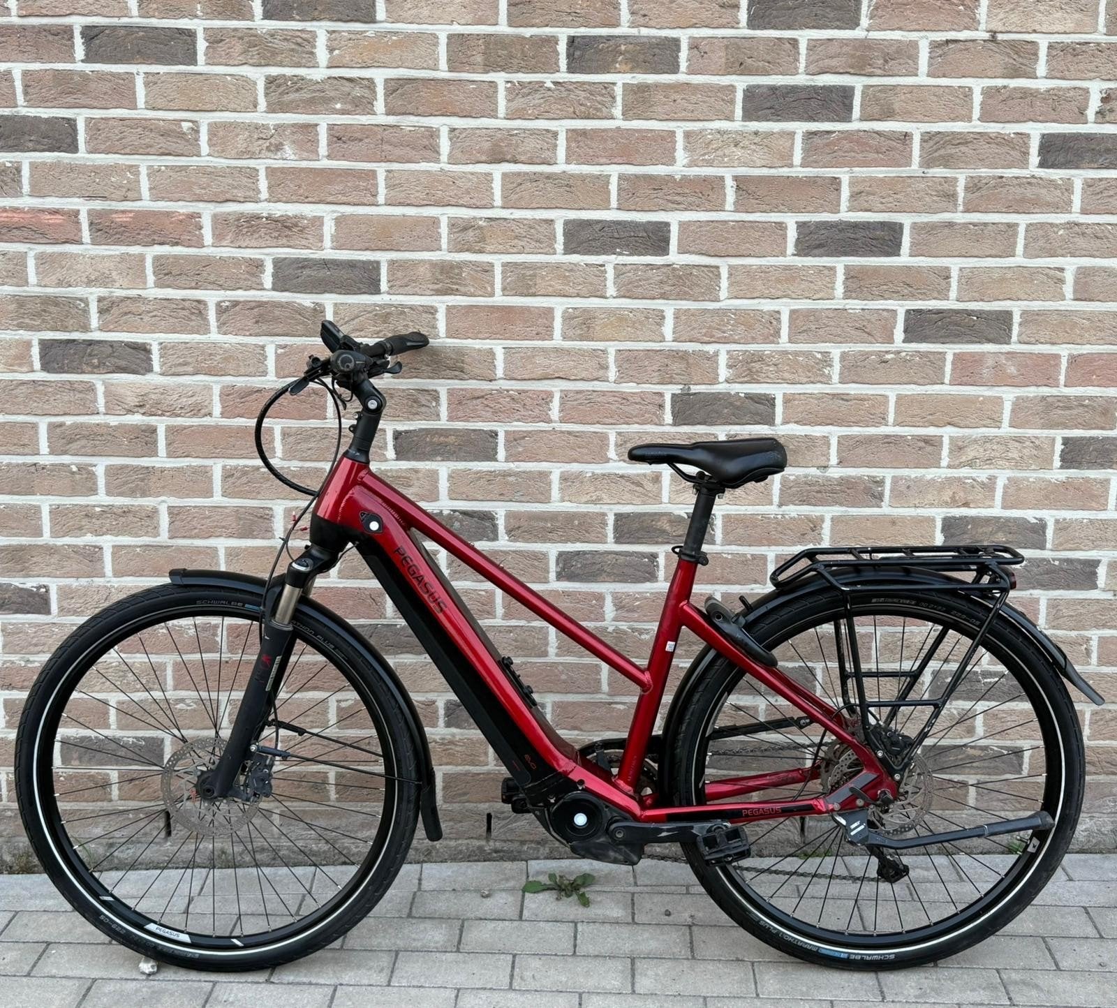 Vélo électrique Pegasus Premio Evo 10 Lite 750 2024, Gebruikt, 47 tot 51 cm, 50 km per accu of meer, Ophalen