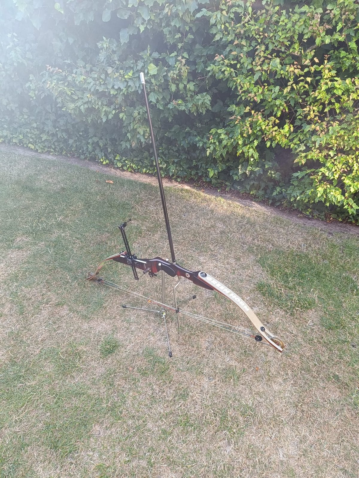 Yamaha Green Horn bow, Enlèvement, Neuf, Arc recurve