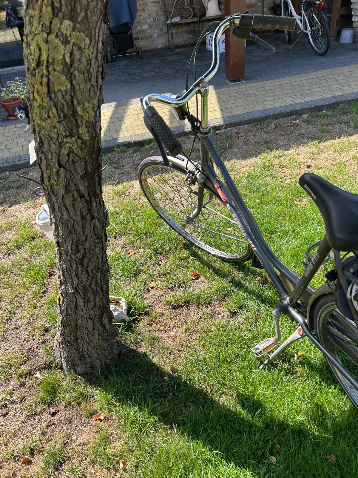 Dames fiets, Ophalen, Gebruikt