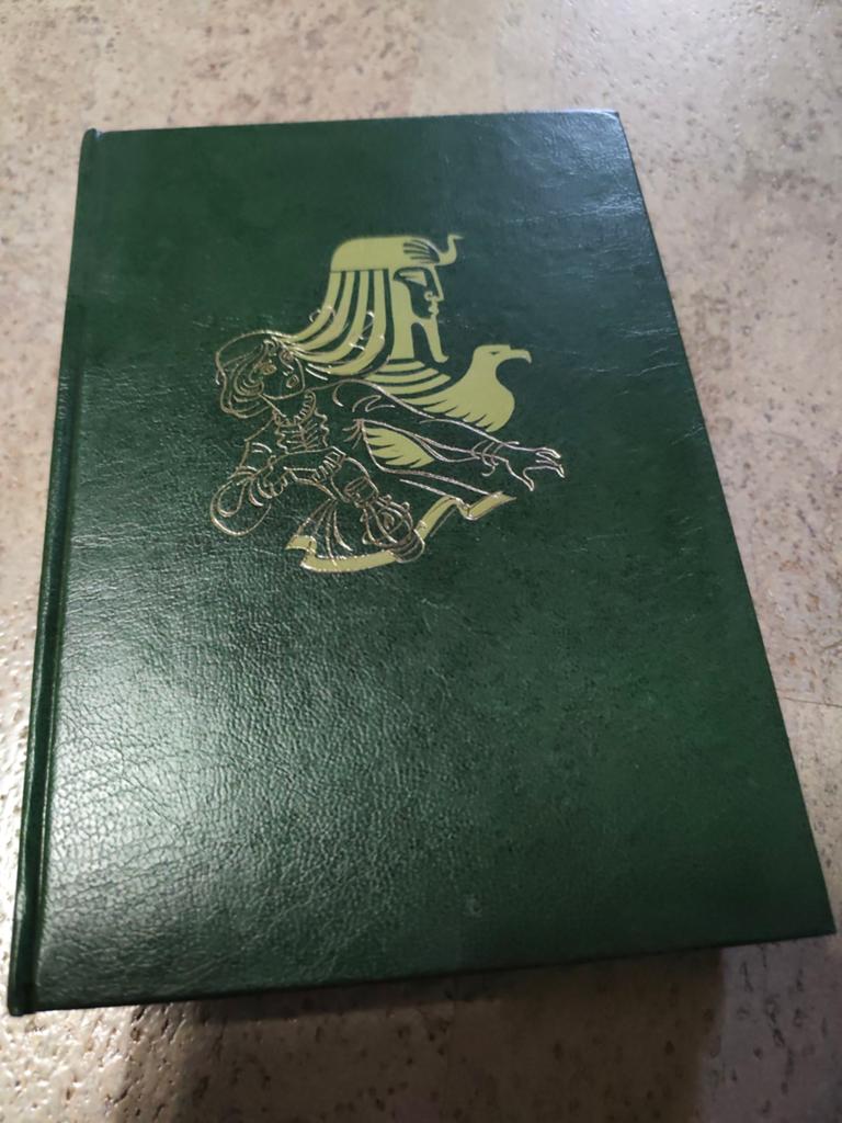 Geluk in gevaar, Boeken, Historische romans, Zo goed als nieuw, Ophalen of Verzenden