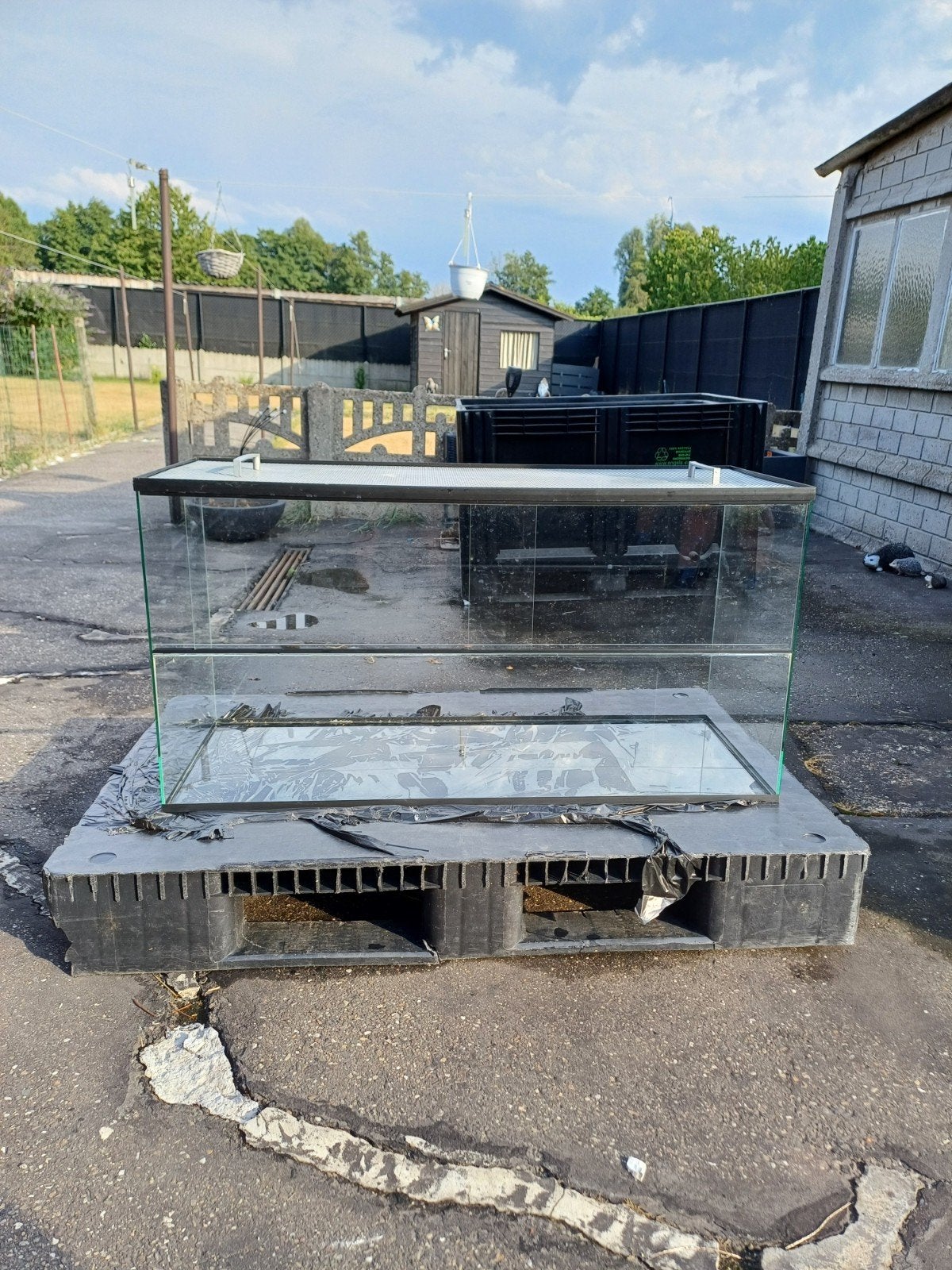 gerbillarium/ terrarium  voor hamster of muizen, Dieren en Toebehoren, Ophalen, Hamster