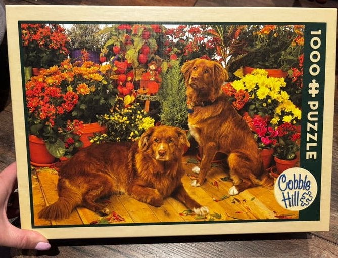 Cobble Hill Legpuzzel 1000 stukken - Duck Tollers, Hobby en Vrije tijd, Denksport en Puzzels, Legpuzzel, Ophalen of Verzenden