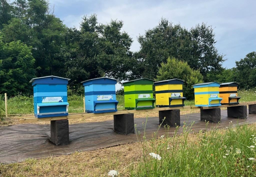 terrain pour apiculture