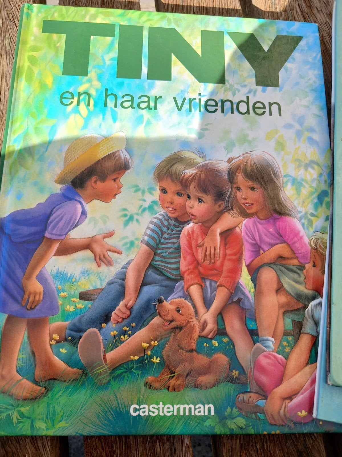 Marlier - Tiny en haar vrienden, Enlèvement, Marlier