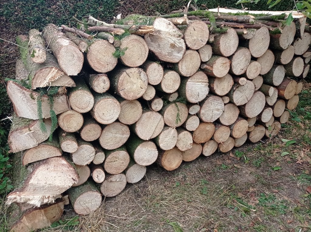 Bois de Chauffage Epicéa en 1m, Jardin & Terrasse, 6 m³ ou plus, Enlèvement, Chêne, Bûches