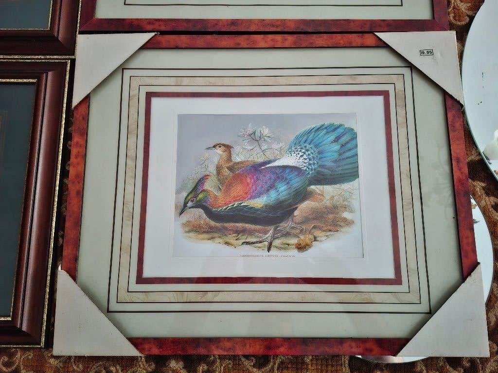 litho, Ophalen, Klassiek, Achter glas, Dieren