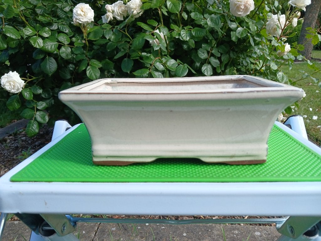 Bonsai bloempot schaal beige keramiek 19,5cm, Tuin en Terras, Bloempotten, Binnen, Rechthoekig, Ophalen of Verzenden