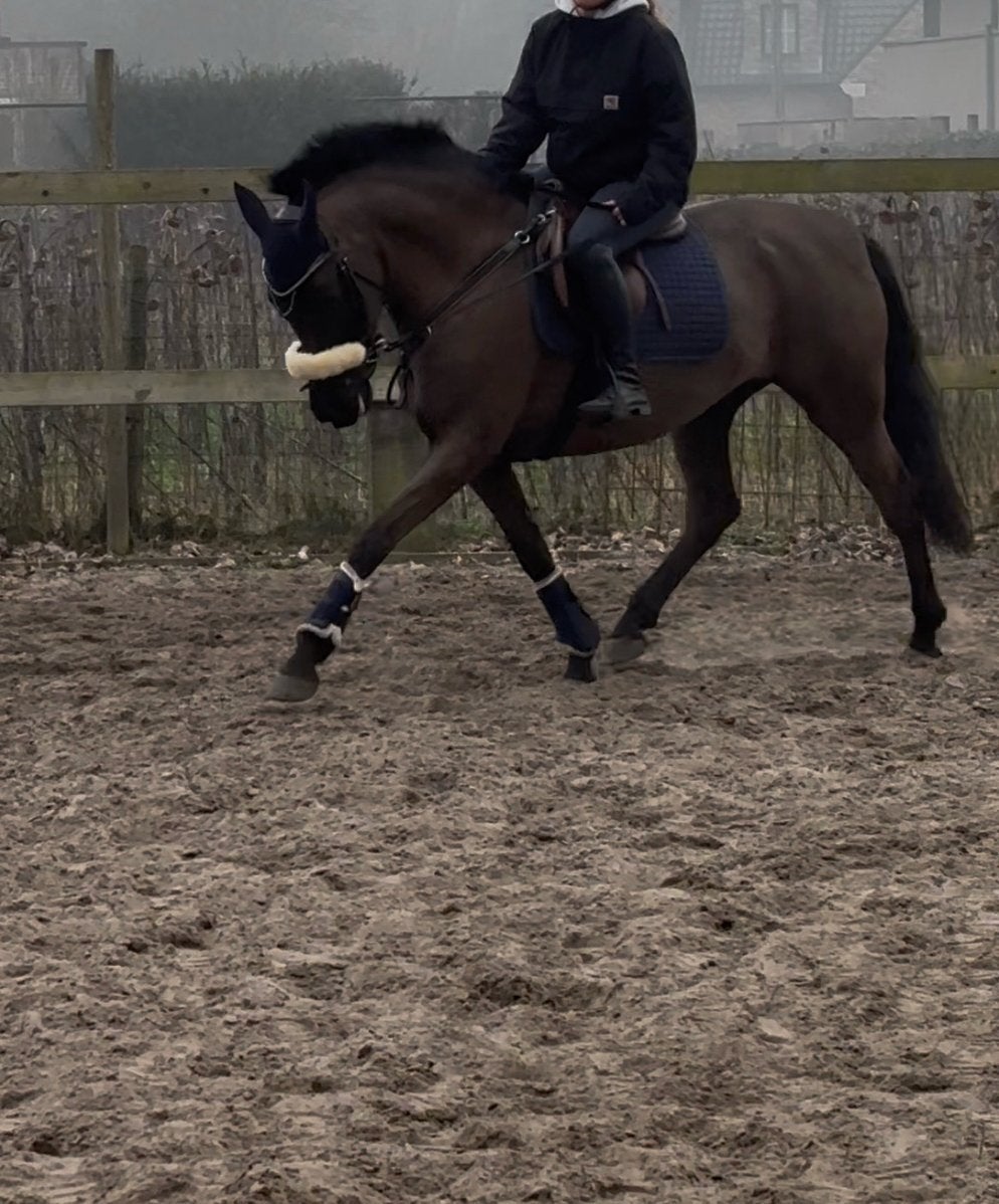 Ruiter gezocht, Dieren en Toebehoren, Pony's, Merrie, Springpony, 7 tot 10 jaar