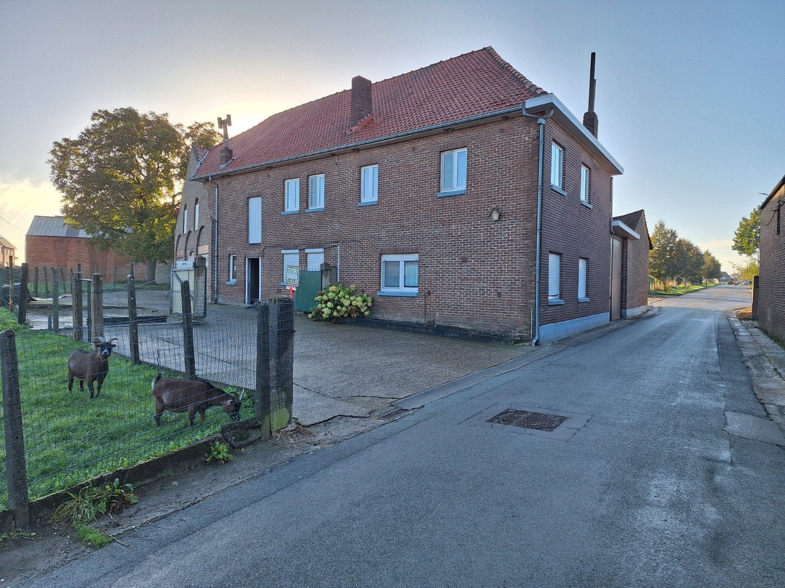 maison à louer avec prairie et débarras, Mise à l'étable