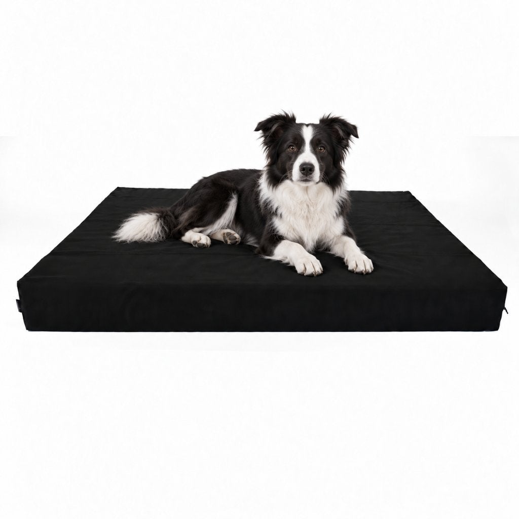 Lit orthopédique pour chien taille L (Cordura), Enlèvement ou Envoi, Neuf, Polyester