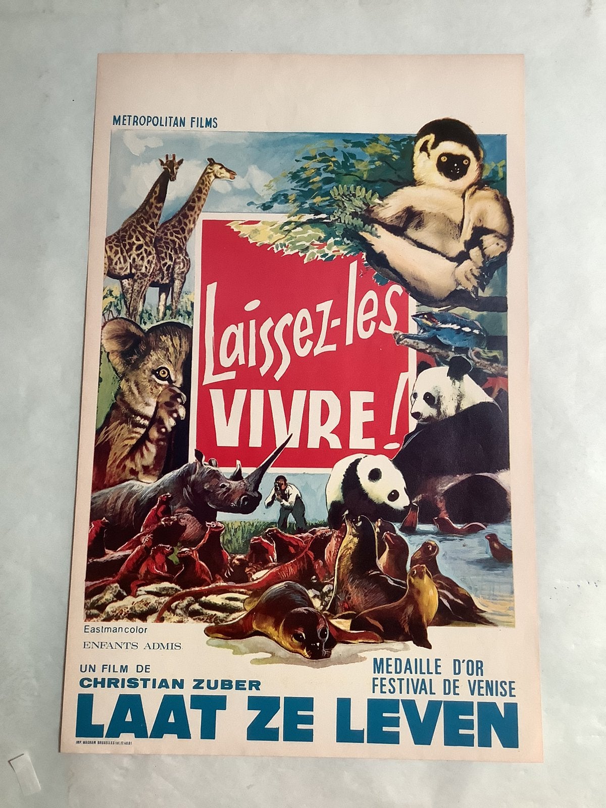 LAAT ZE LEVEN   Filmposter   36-54 cm, Verzamelen, Posters, Ophalen, Zo goed als nieuw