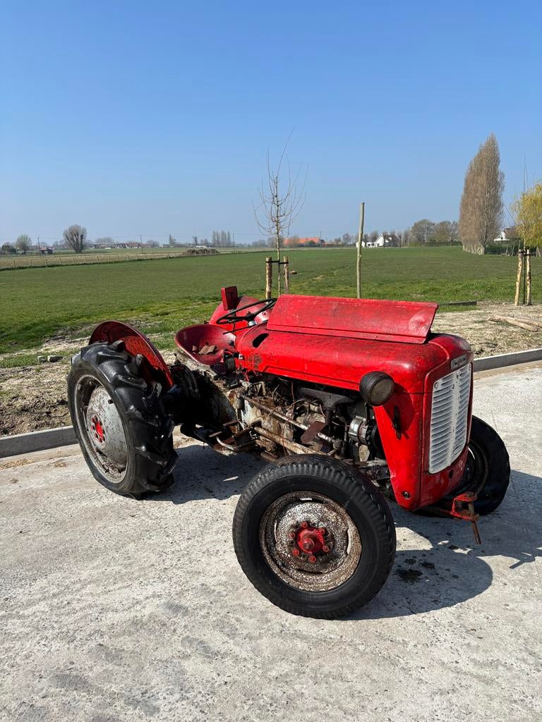 Tracteur Massey Ferguson 35 Oldtimer, Articles professionnels, Agriculture | Tracteurs, Enlèvement, Massey Ferguson