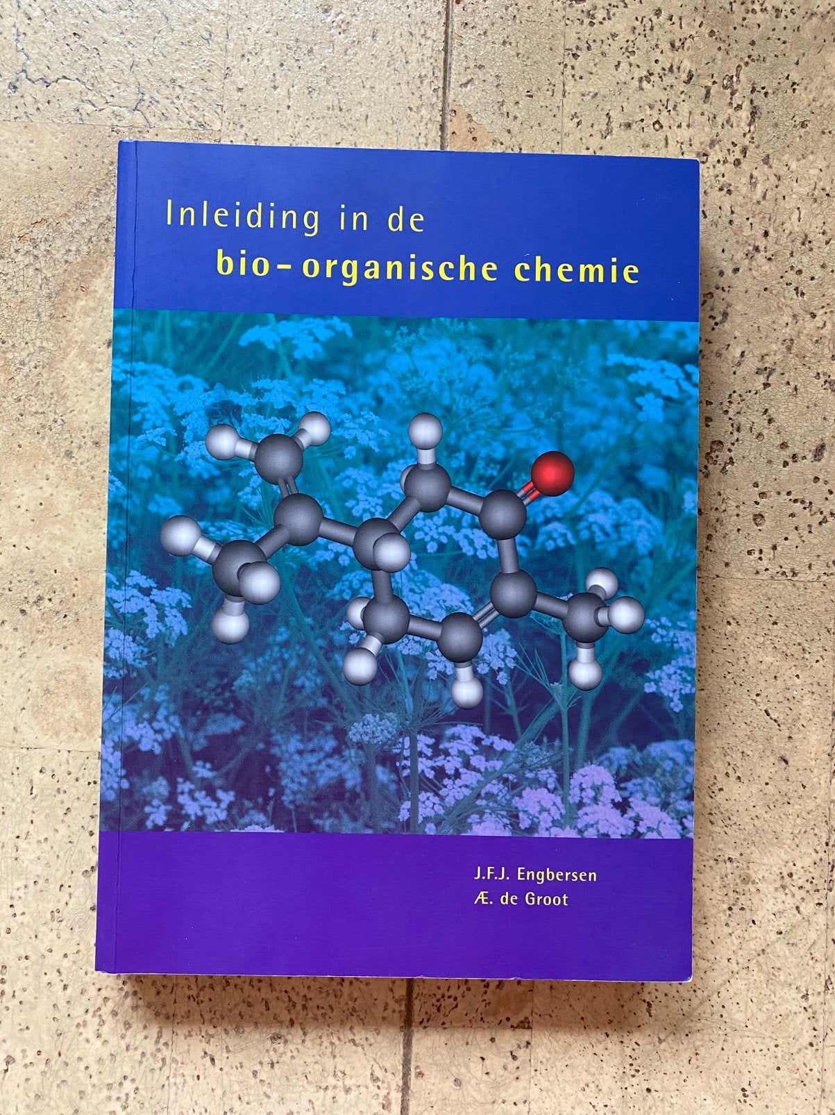 Inleiding in de bio-organische chemie, Ophalen of Verzenden, Gelezen
