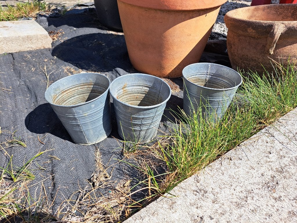 Bloempotten - gratis, Tuin en Terras, Ophalen