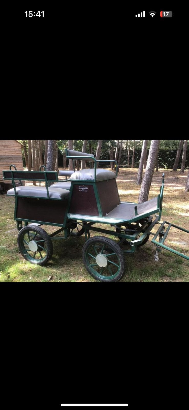 Leuke koets inclusief (donkerbruin) tuig. Bokhoogte 140cm, Dieren en Toebehoren, Zo goed als nieuw