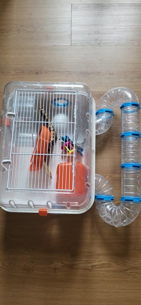 Cage hamster, Cage, Hamster