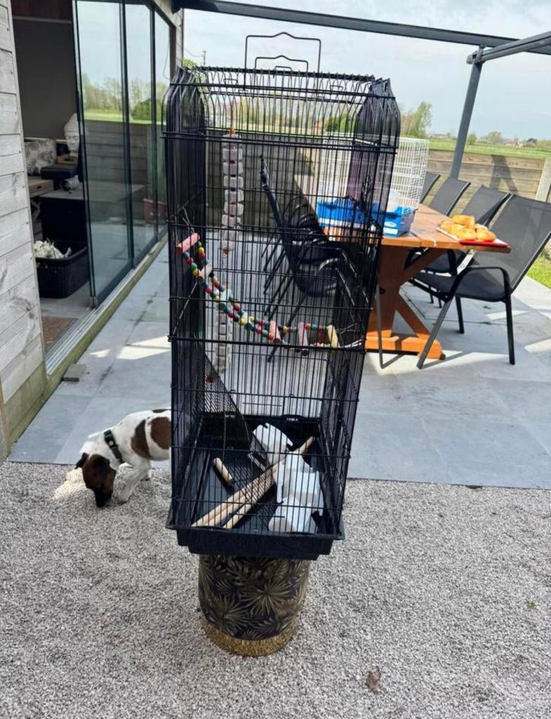 vogelkooi, Dieren en Toebehoren, Ophalen, Zo goed als nieuw, Vogelkooi