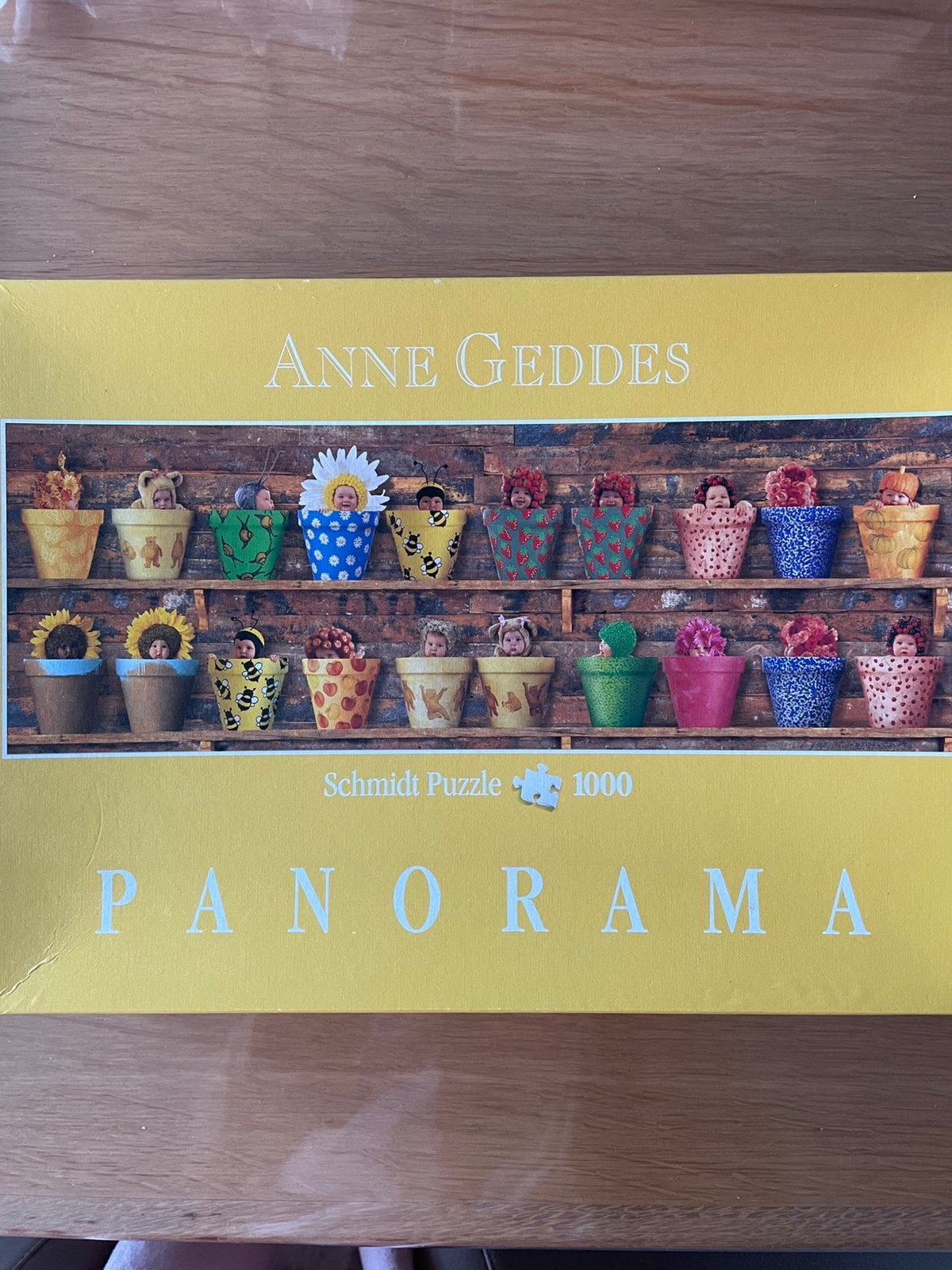 Anne Geddes, puzzel 1000 stukjes, Ophalen, Zo goed als nieuw