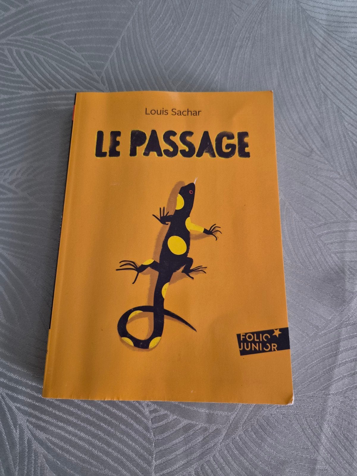 Le passage, Livres, Enlèvement, Comme neuf