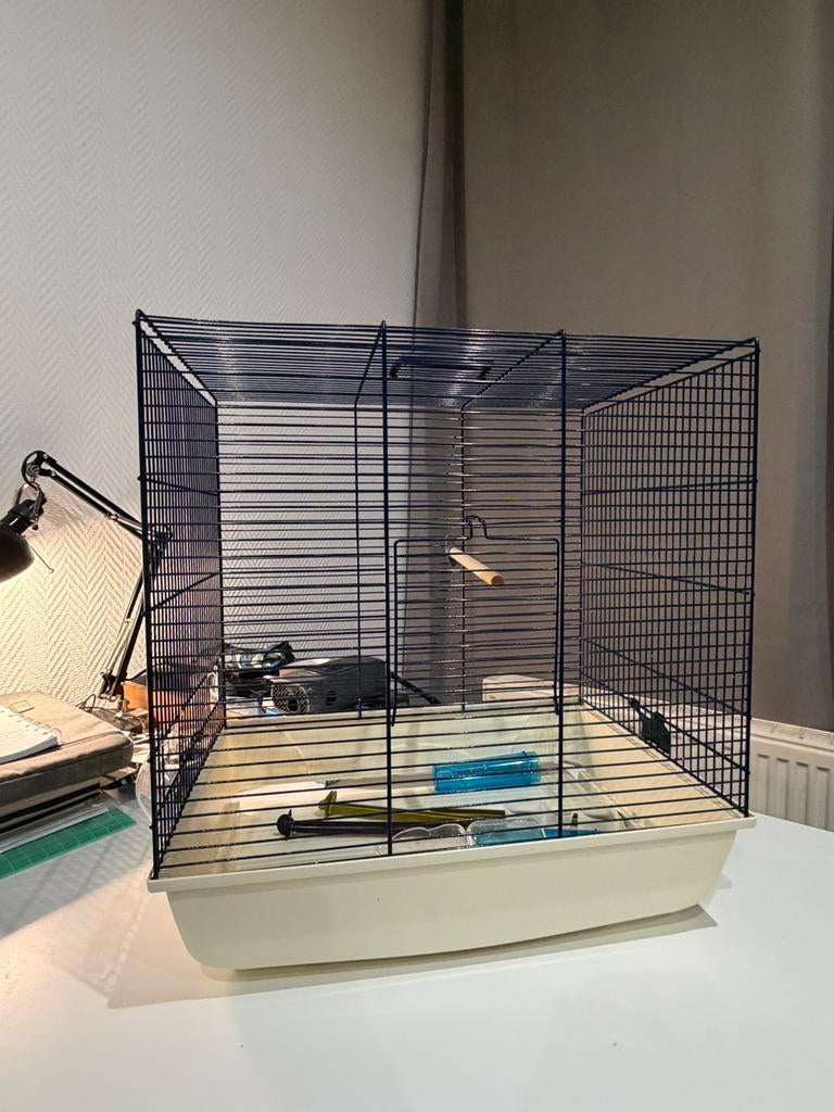 Cage pour oiseaux en trés bon état, Animaux & Accessoires, Oiseaux | Cages & Volières, Enlèvement, Comme neuf
