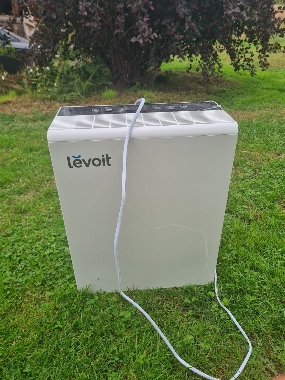 purificateur d'air Levoit, Enlèvement, Purificateur d'air