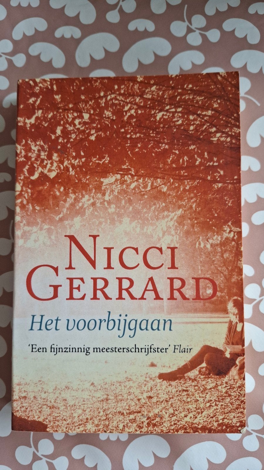 Nicci Gerrard - Het voorbijgaan, Ophalen of Verzenden, Nicci Gerrard